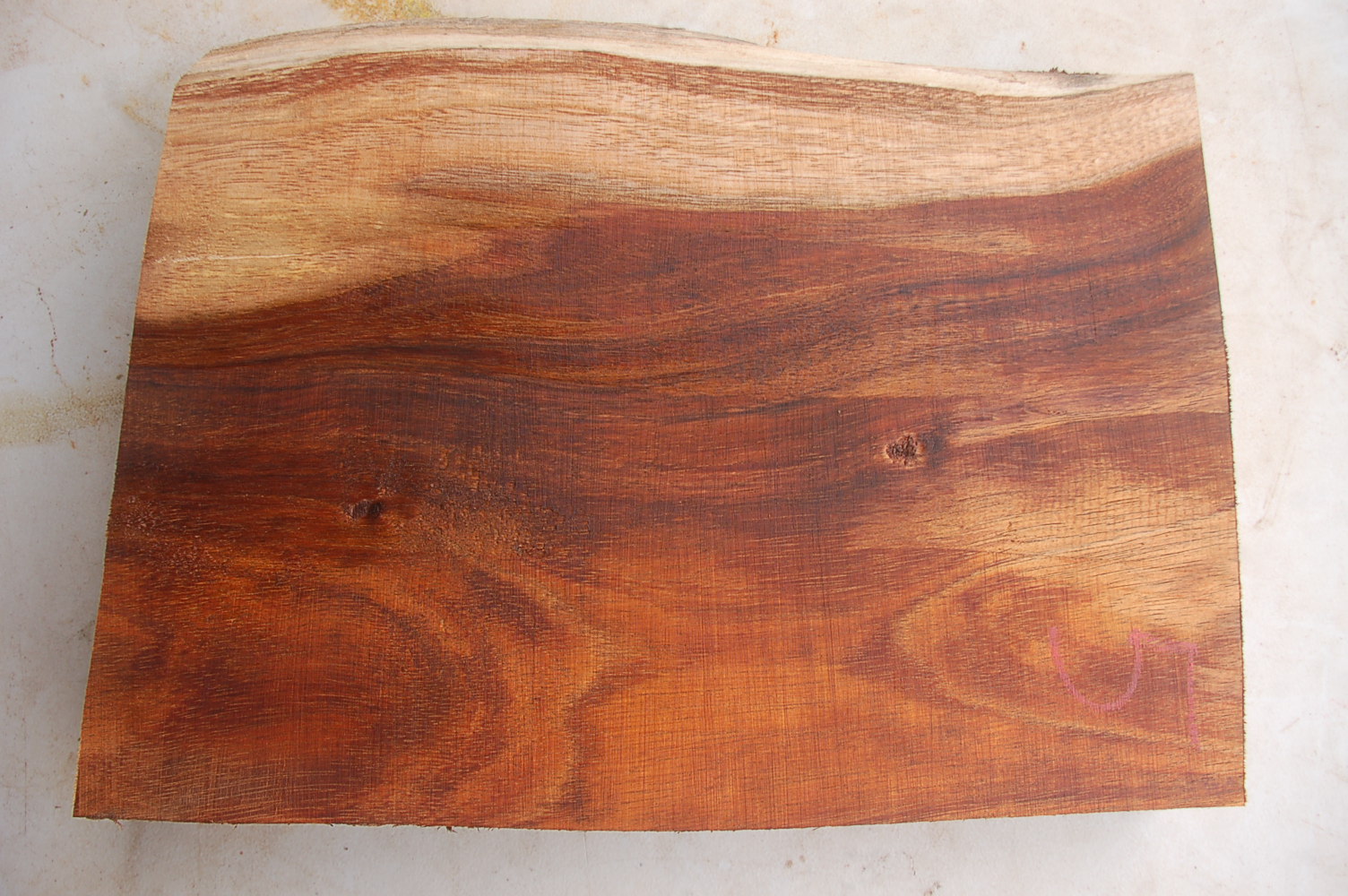 Koa Wood Bowl Blank Koa Block #5 –13.5×9.5×2 1/8 inches